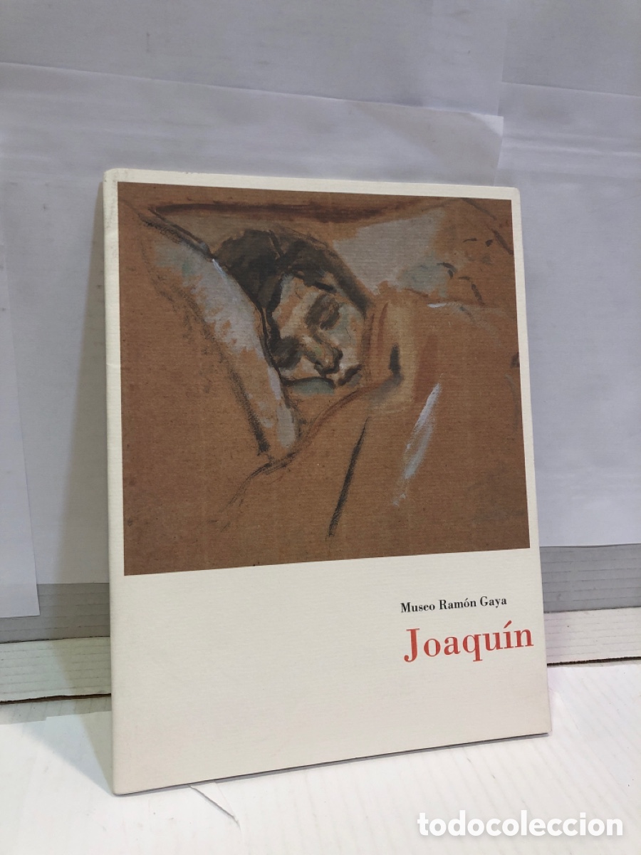 Gebrauchte B&uuml;cher: Joaqu&iacute;n Museo ram&oacute;n Gaya