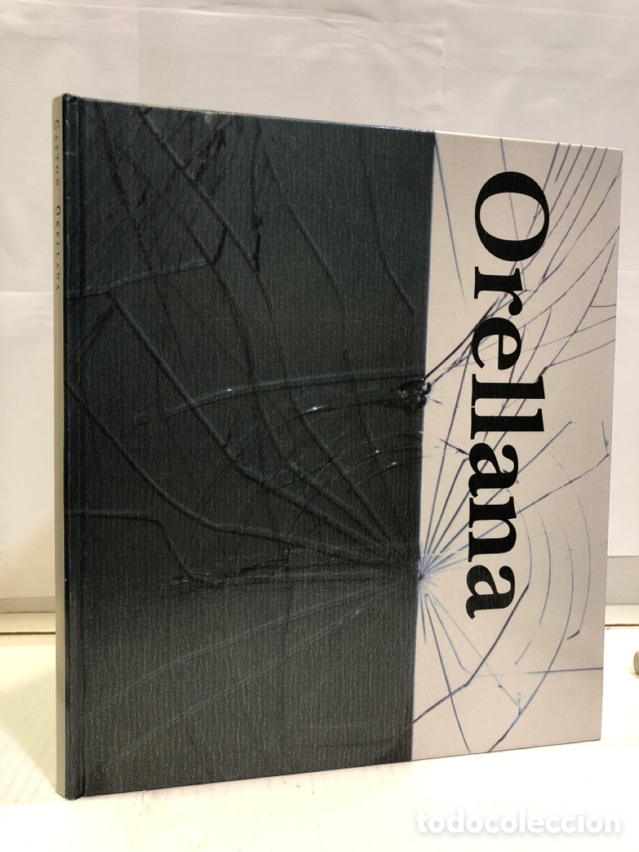 Gebrauchte B&uuml;cher: Gast&oacute;n Orellana. Diputaci&oacute;n Provincial de Palencia