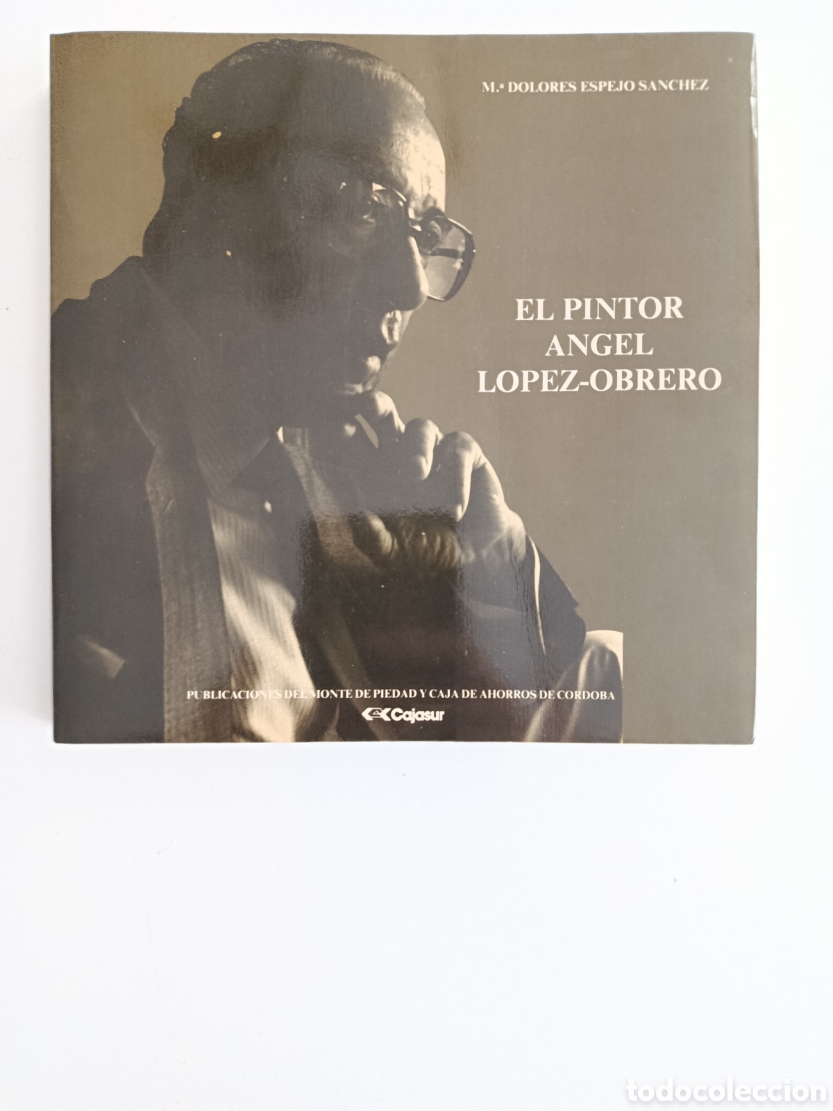 Libros de segunda mano: EL PINTOR &Aacute;NGEL L&Oacute;PEZ-OBRERO. M&ordf; DOLORES ESPEJO S&Aacute;NCHEZ. CAJASUR C&Oacute;RDOBA. 1987