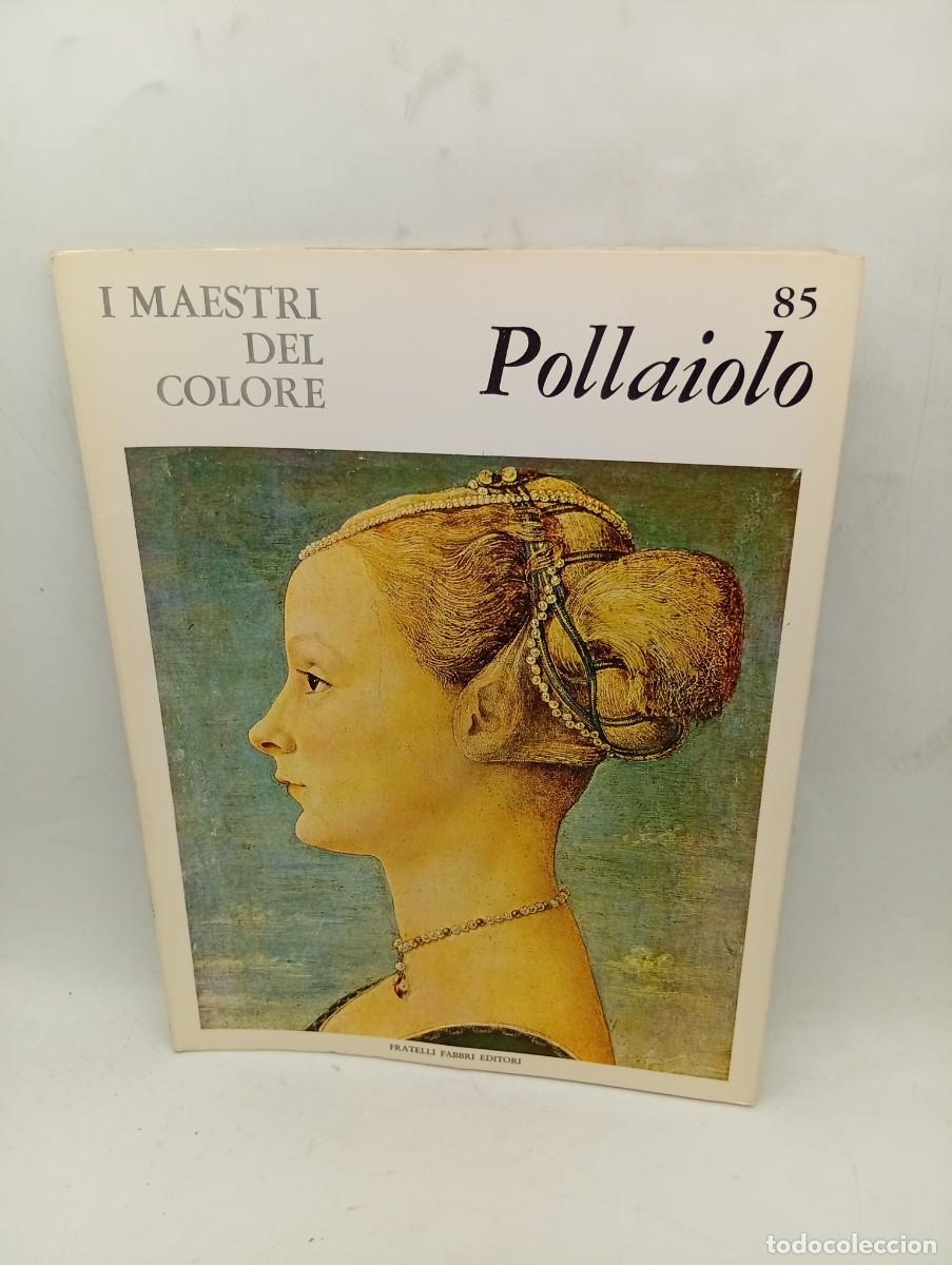 Libros de segunda mano: I MAESTRI DEL COLORE. POLLAIOLO. N&ordm; 85. FRATELLI FABBRI EDITORI. 1965. PAGS : XVI LAMINAS.