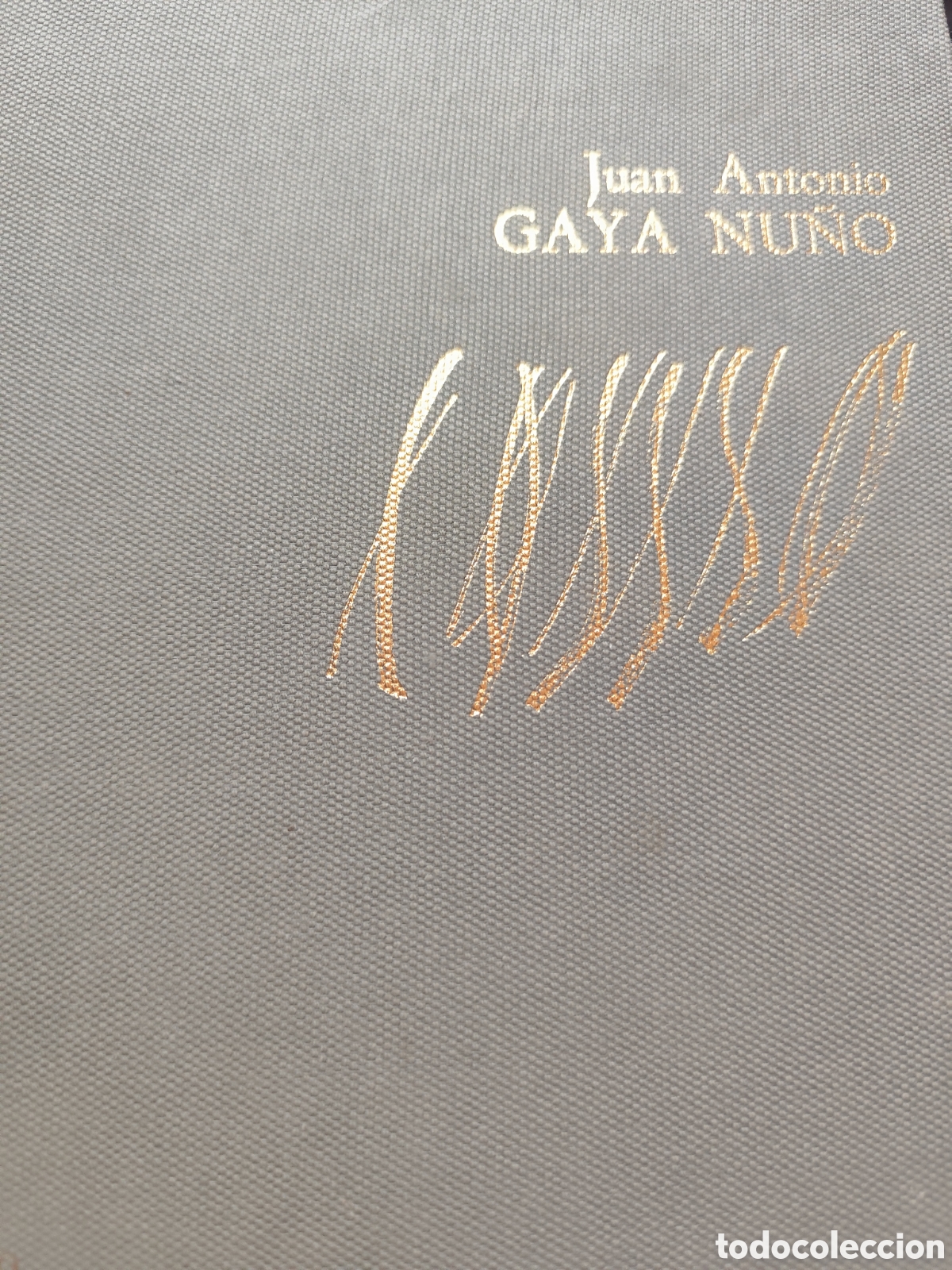 Livres d'occasion: ARTE CONTEMPORANEO ES PA&Ntilde;OL RF338 G