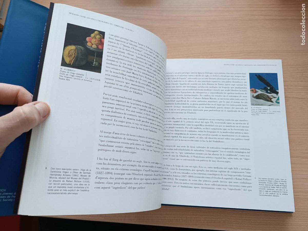 Libros de segunda mano: Viladrich. Primitivo y perdurable / Primitiu i perdurable - Foto 4