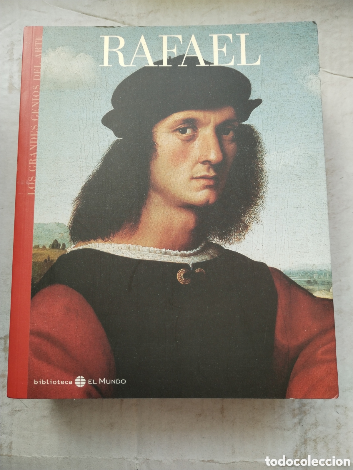 Libros de segunda mano: RAFAEL/LIBRO PINTURA - Foto 1