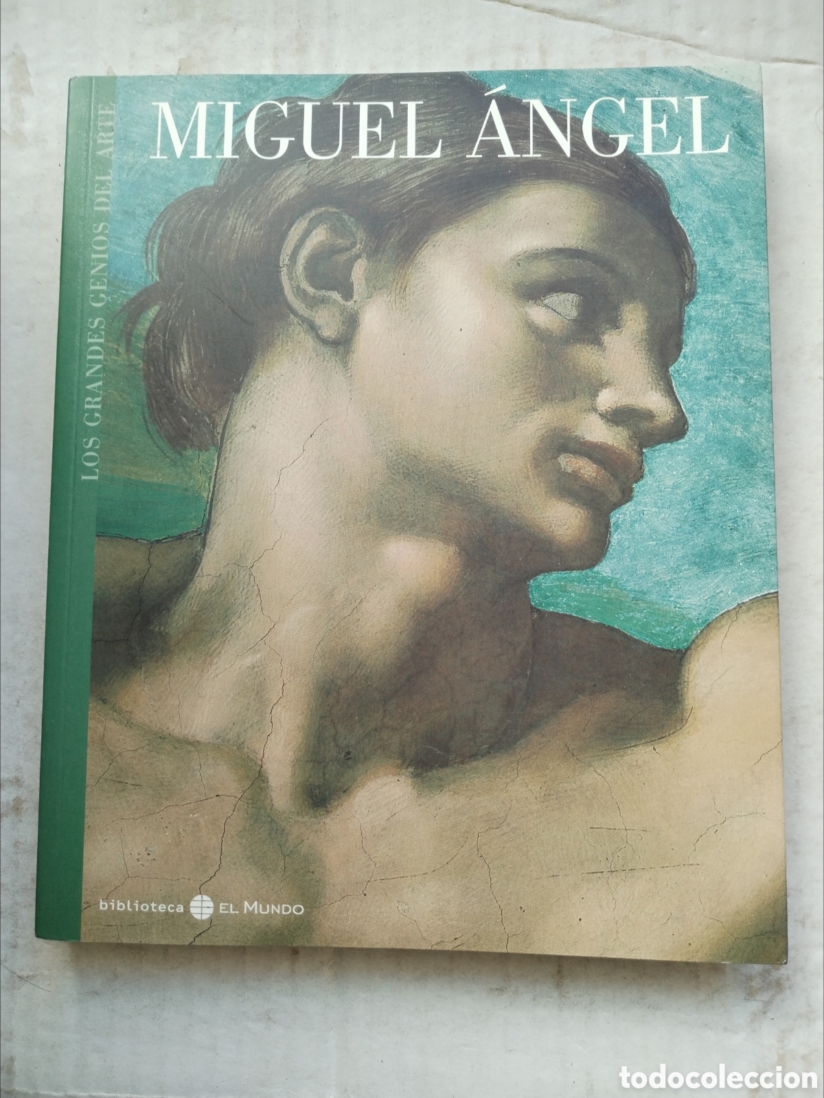 Libros de segunda mano: MIGUEL ANGEL/LIBRO PINTURA