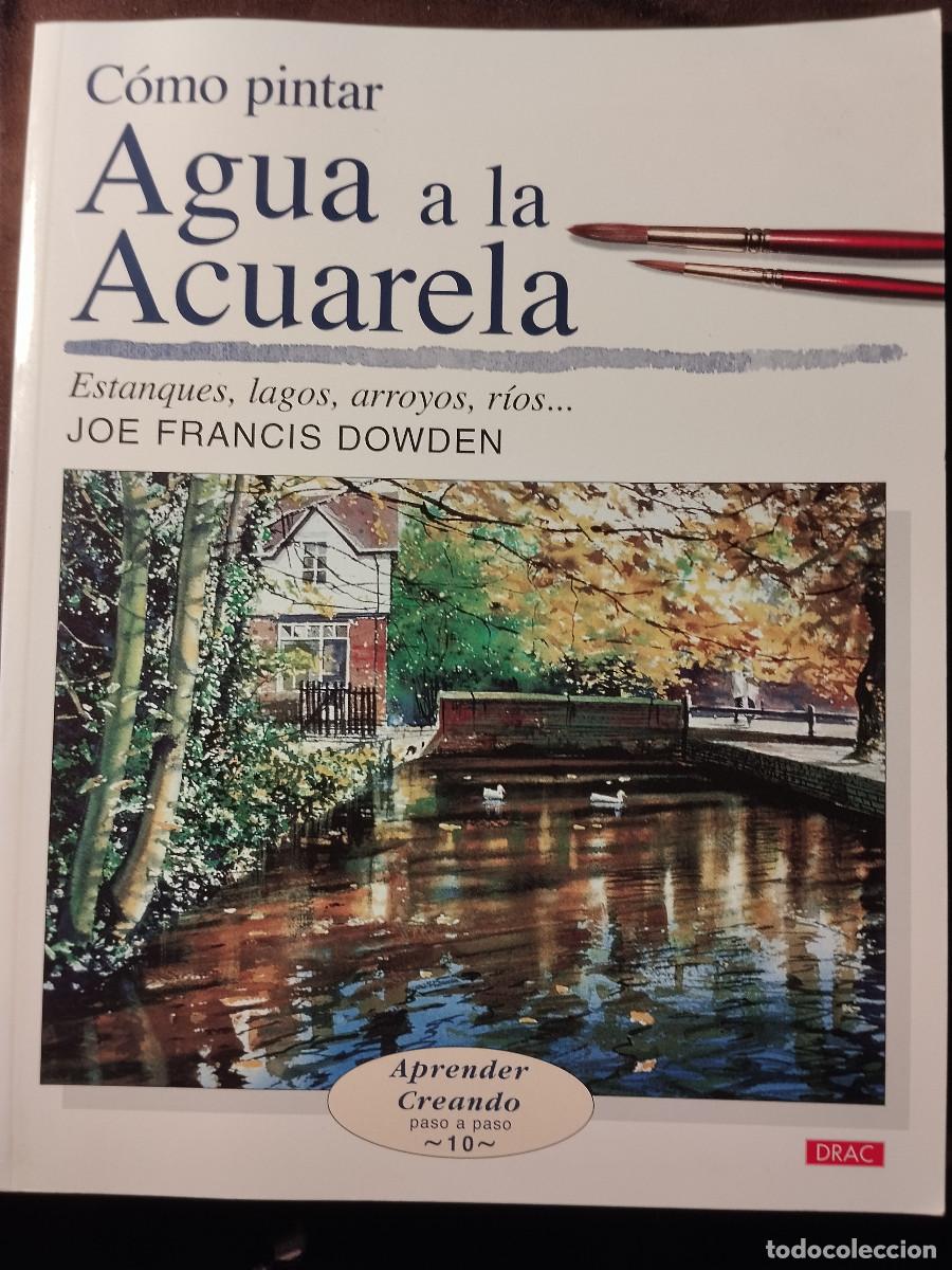 Libros de segunda mano: Fasc&iacute;culo n&ordm;10 &ndash; C&oacute;mo pintar agua a la acuarela &ndash; Joe Francis Dowden &ndash; Editorial Drac
