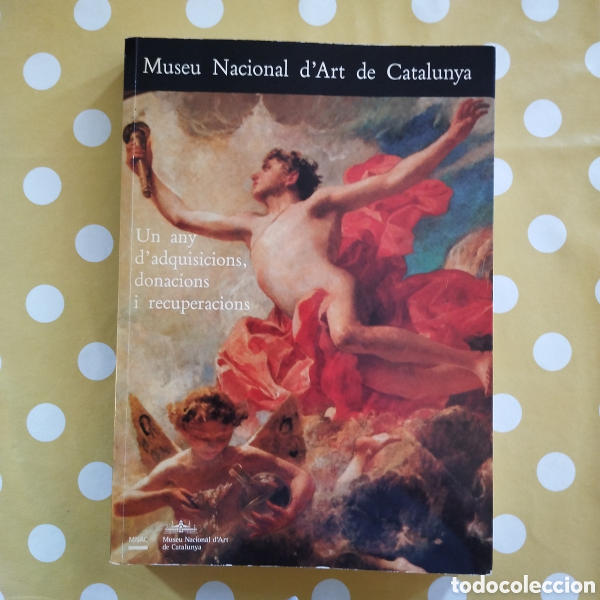 Libros de segunda mano: MUSEU NACIONAL D'ART DE CATALUNYA UN ANY D'ADQUISICIONS, DONACIONS I RECUPERACIONS MNAC 1992 TIBERI