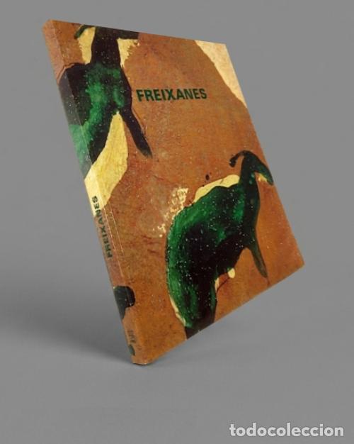 Livres d'occasion: �F2233 - FREIXANES JOSE. PINTURA. PINTOR. DIP. PONTEVEDRA. GALICIA. COMO NUEVO.