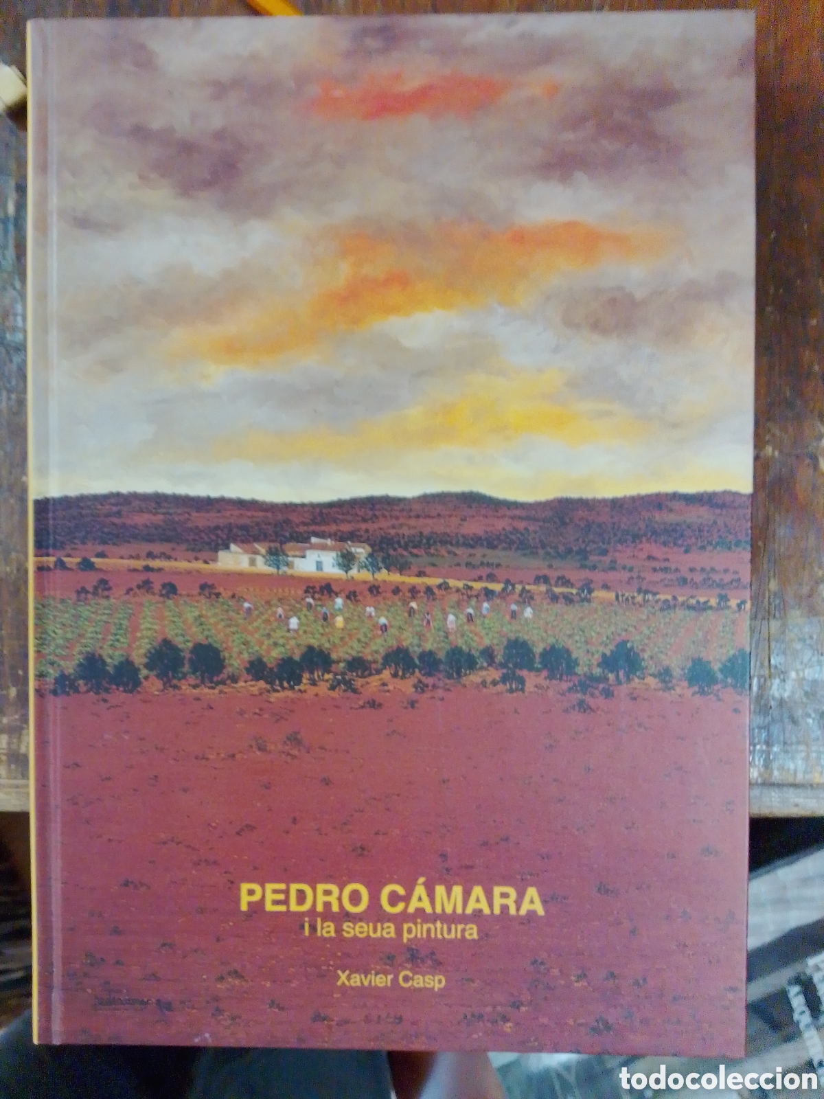 Libros de segunda mano: PEDRO CAMARA I LA SEUA PINTURA. CASP, XAVIER. AJUNTAMENT DE VALENCIA. 2003