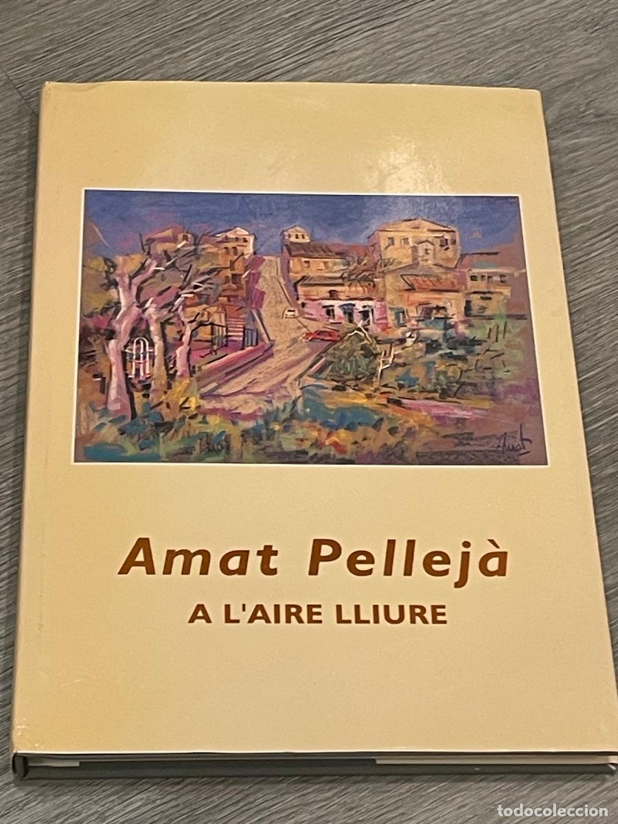 Gebrauchte B&uuml;cher: A L'AIRE LLIURE - PASTELLS D' AMAT PELLEJ&Agrave; - 1996