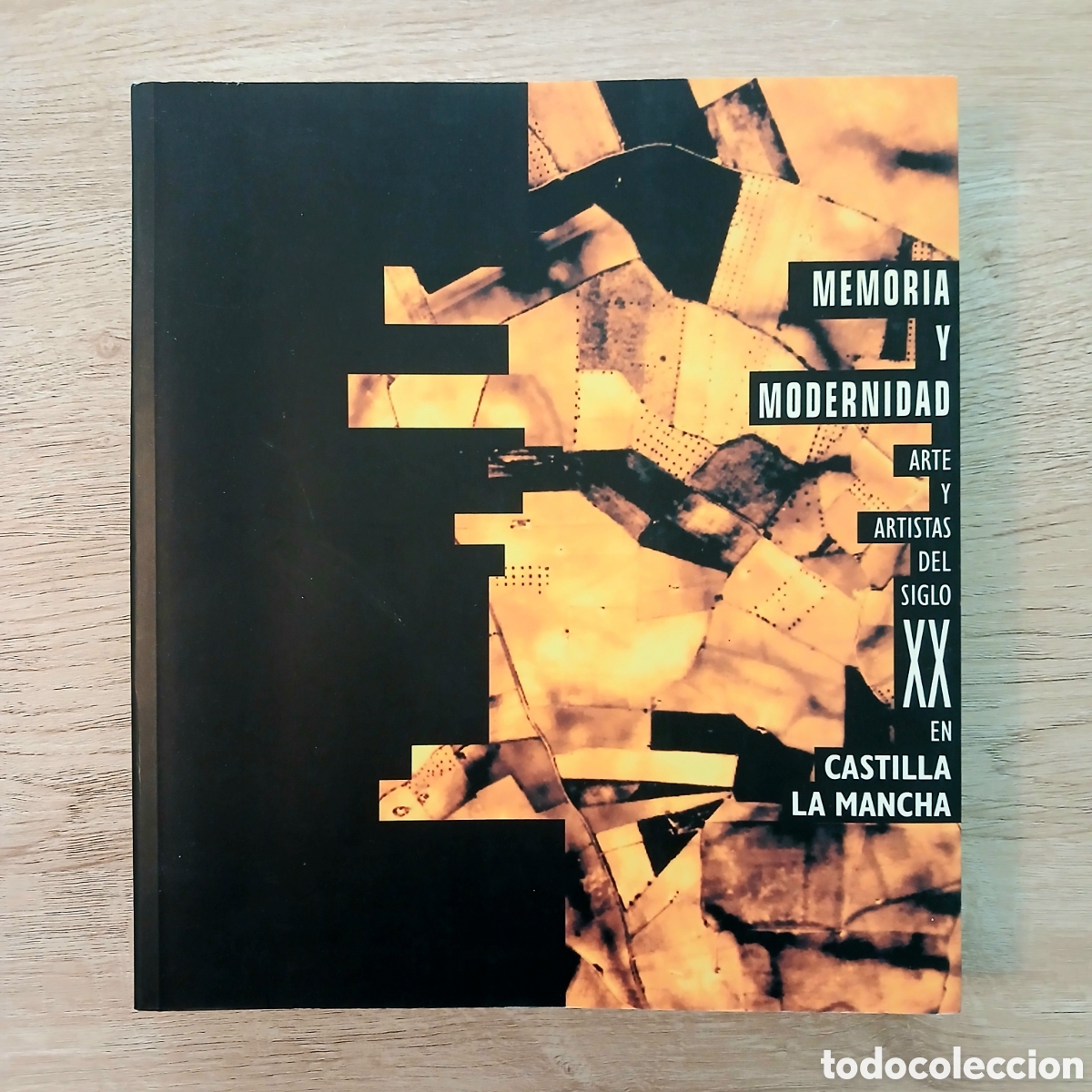 Libros de segunda mano: Memoria y Modernidad: Arte y artistas del siglo XX en Castilla-La Mancha