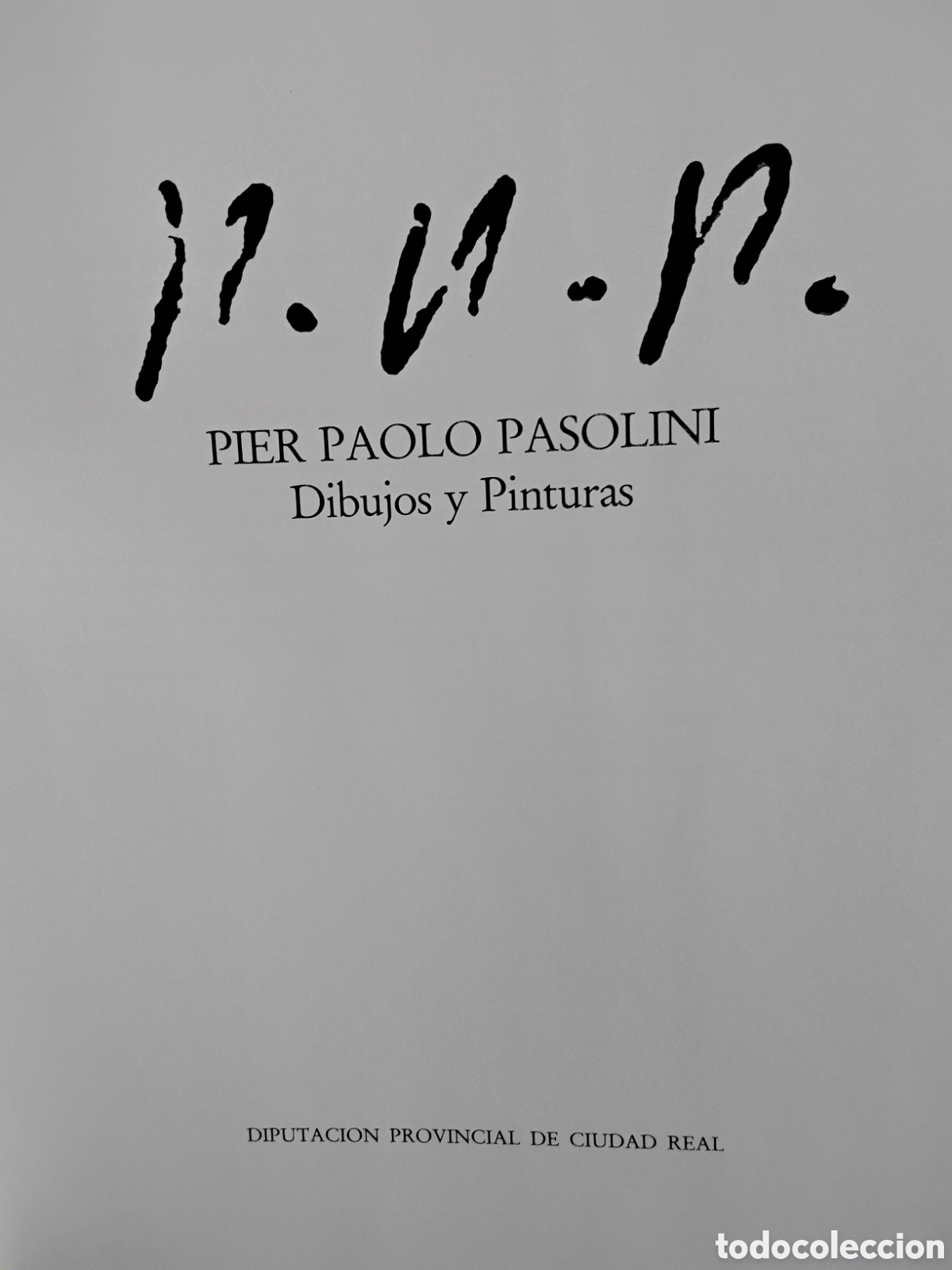 Libros de segunda mano: PIER PAOLO PASOLINI. DIBUJOS Y PINTURAS