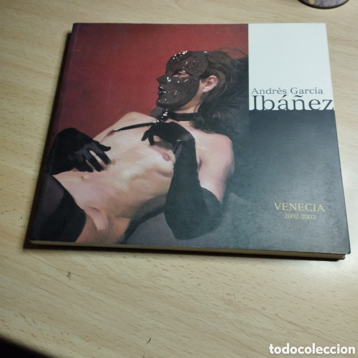 Libros de segunda mano: Andr&eacute;s Garc&iacute;a Ib&aacute;&ntilde;ez. Venecia 2002-2003. Caja Granada. Pintura