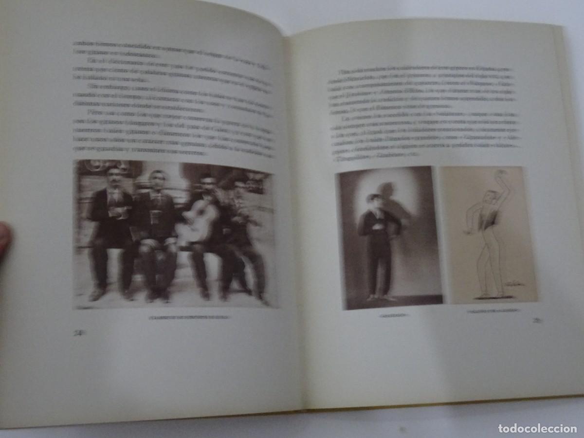 Zus&auml;tzliches Foto 3