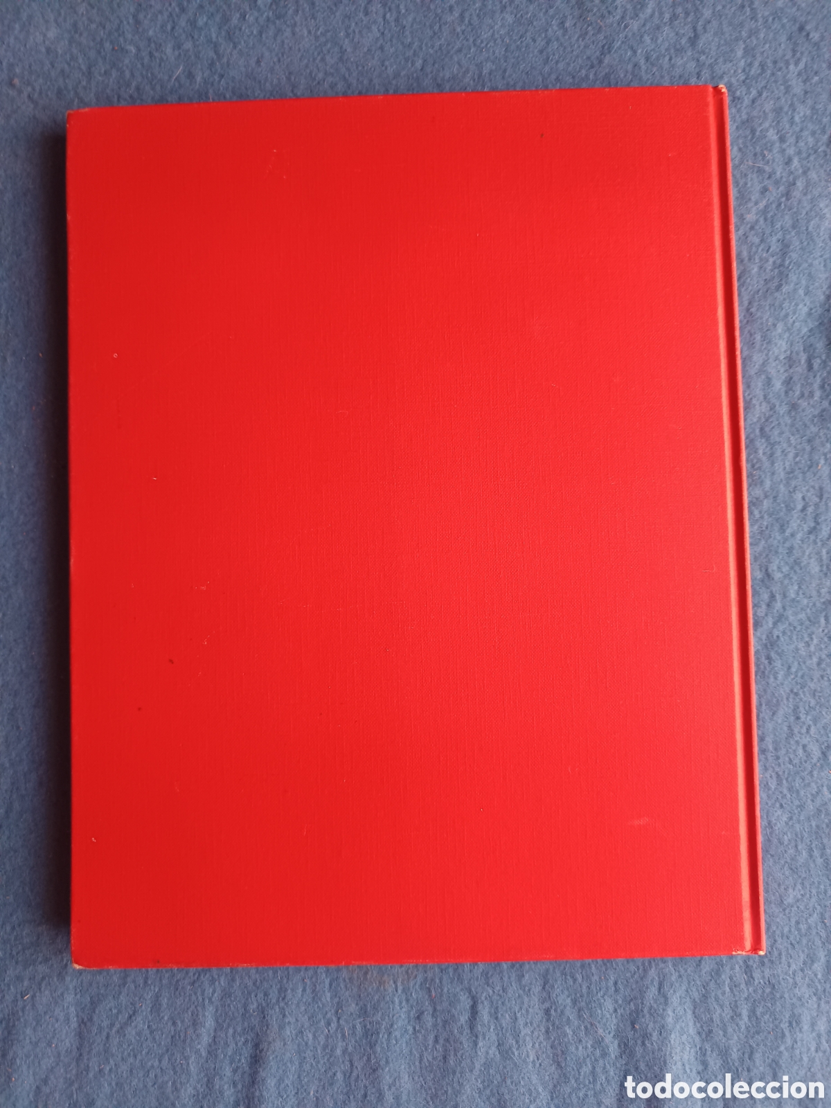 Libros de segunda mano: Georges Braque - Lara V. Masini - Foto 2