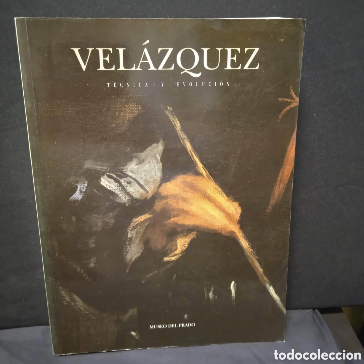 Libros de segunda mano: VEL&Aacute;ZQUEZ T&Eacute;CNICA Y EVOLUCI&Oacute;N - CARMEN GARRIDO P&Eacute;REZ - MUSEO DEL PRADO 1992