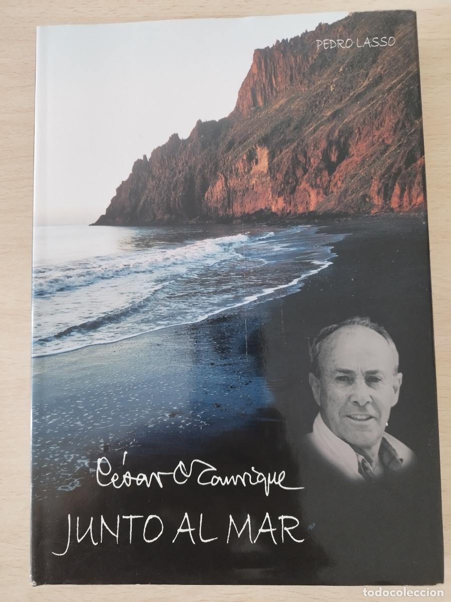Libros de segunda mano: C&eacute;sar Manrique Junto al Mar Pedro Lasso 2003 Edici&oacute;n de tapa dura con sobrecubierta