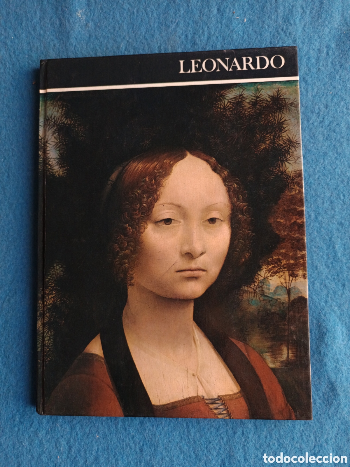 Libros de segunda mano: LEONARDO DA VINCI - Walter Pater