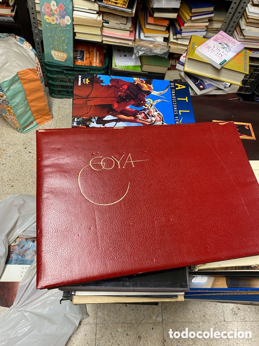 Libros de segunda mano: La tauromaquia. Goya. Jano G. A. Edici&oacute;n especial. Prodes