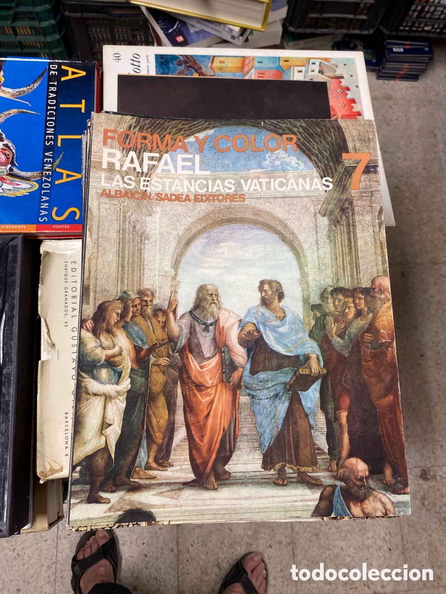 Libros de segunda mano: Rafael. Forma y color n&ordm; 7.