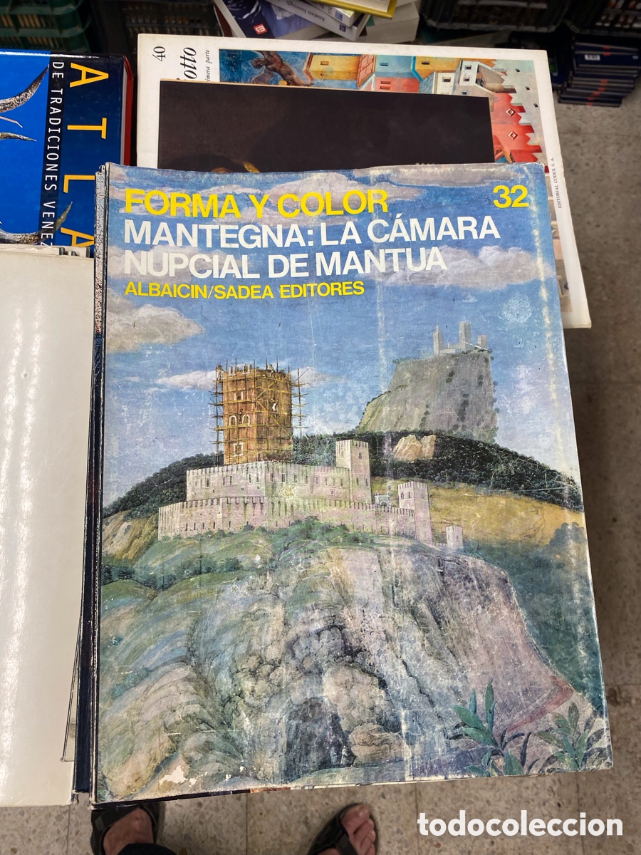 Libros de segunda mano: Mantegna. La c&aacute;mara nupcial de Mantua. Forma y color n&ordm; 32