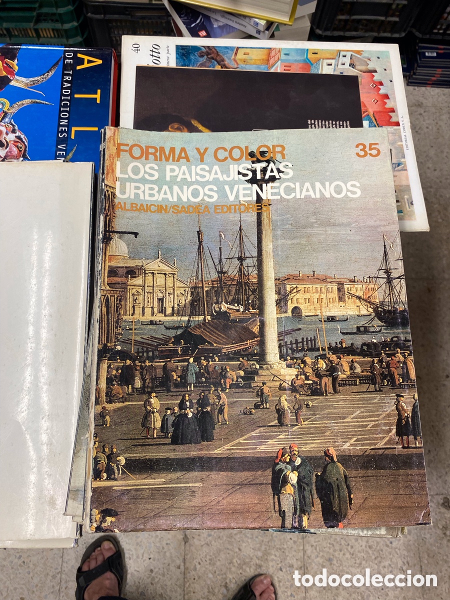 Libros de segunda mano: Los paisajistas urbanos venecianos. Forma y color n&ordm; 35