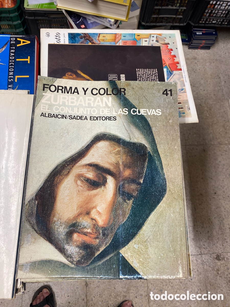 Libros de segunda mano: Zurbar&aacute;n. El conjunto de las cuevas. Forma y color n&ordm; 41