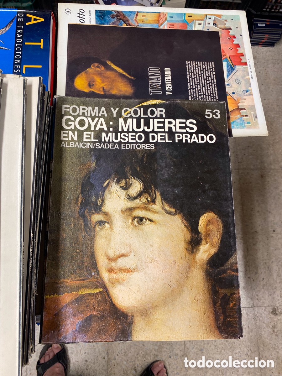 Libros de segunda mano: Goya. Mujeres en el Museo del Prado. Forma y color n&ordm; 53
