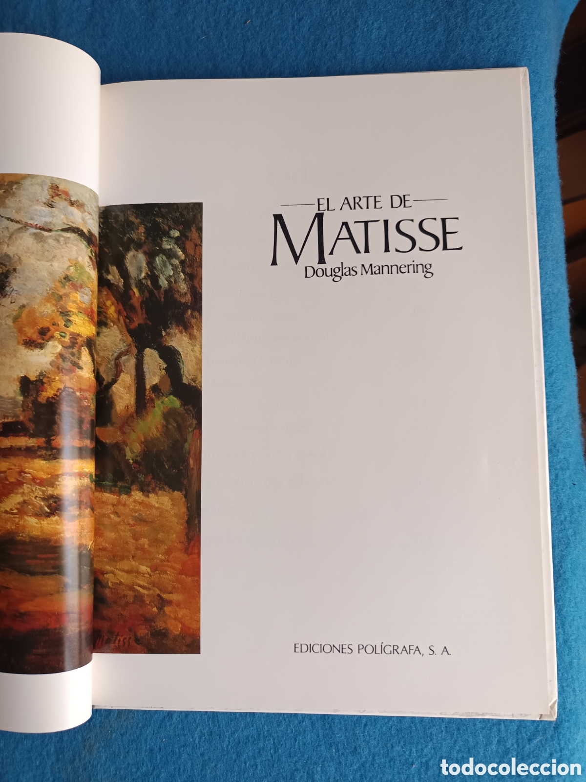 Libros de segunda mano: EL ARTE DE MATISSE, DOUGLAS MANNERING - Foto 4