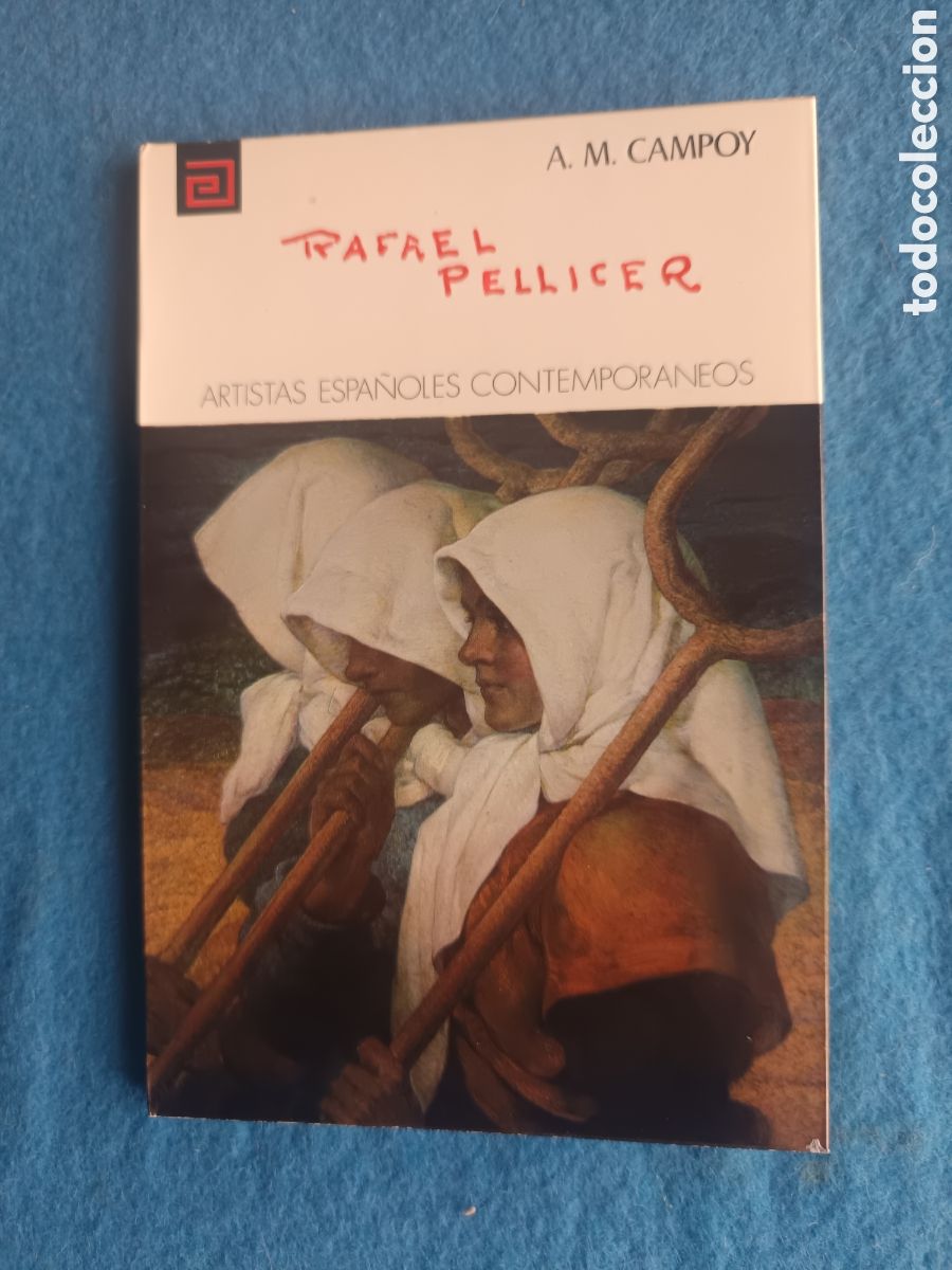 Libros de segunda mano: RAFAEL PELLICER - ARTISTAS ESPA&Ntilde;OLES CONTEMPOR&Aacute;NEOS N&ordm; 89 - A. M. CAMPOY