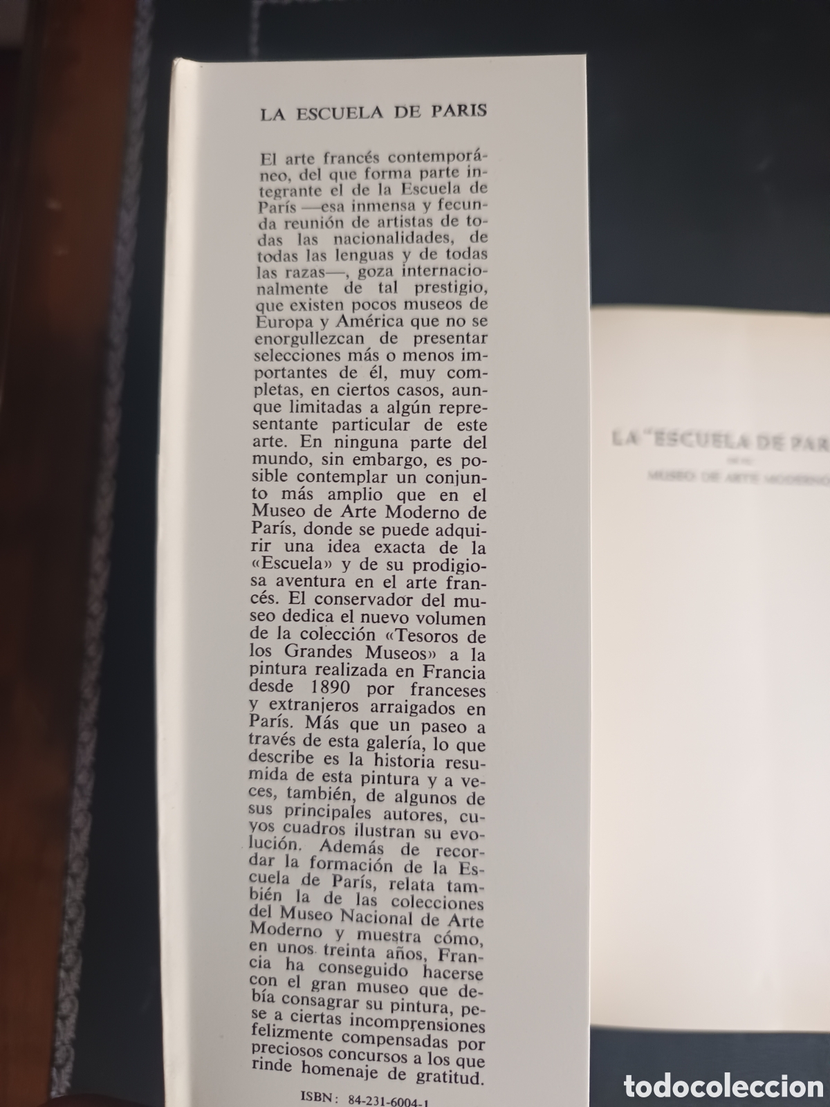 Libros de segunda mano: GRANDES MUSEOS. ESCUELA DE PARIS. DAIMON 1966. - Foto 2