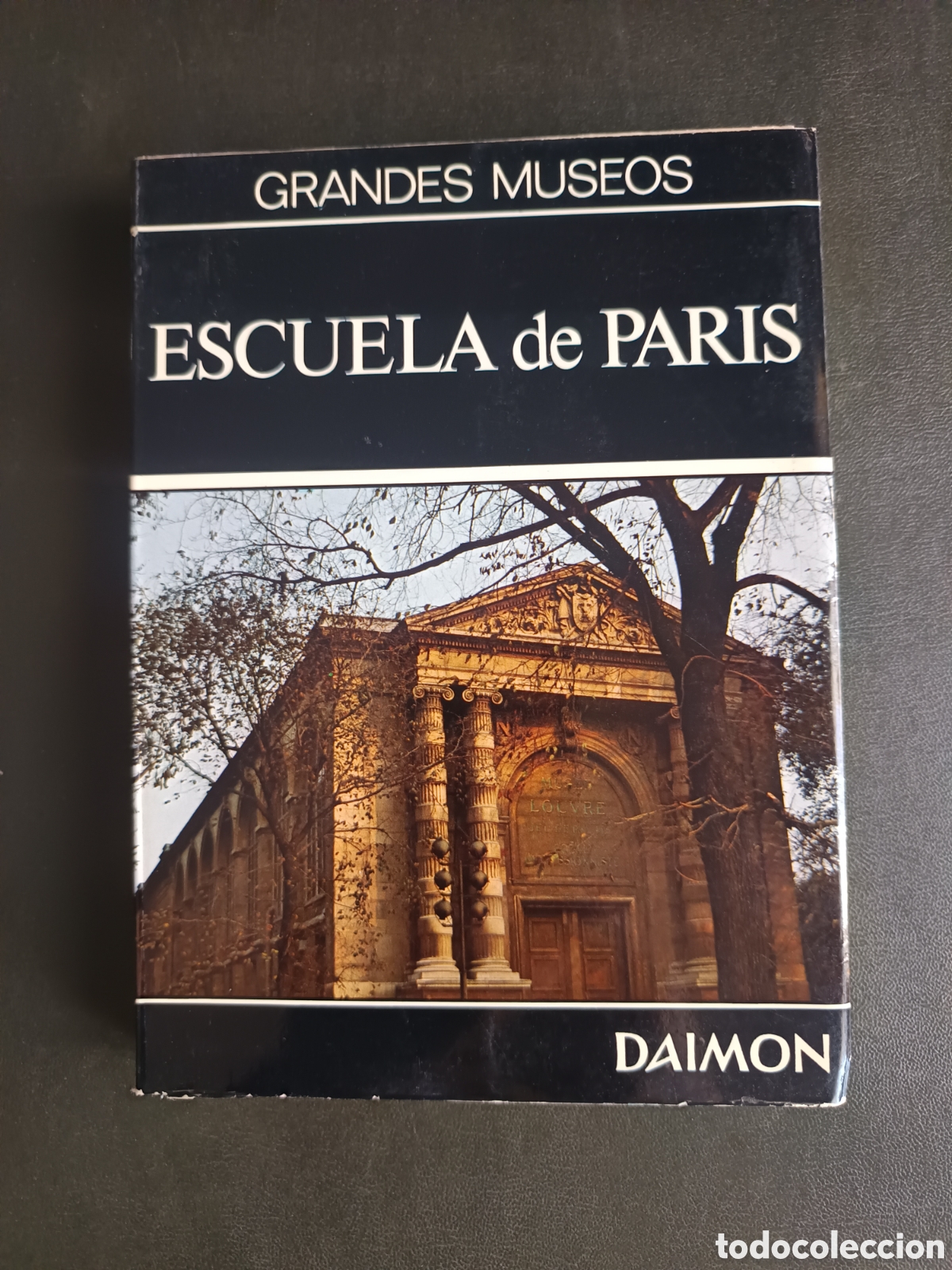 Libros de segunda mano: GRANDES MUSEOS. ESCUELA DE PARIS. DAIMON 1966.