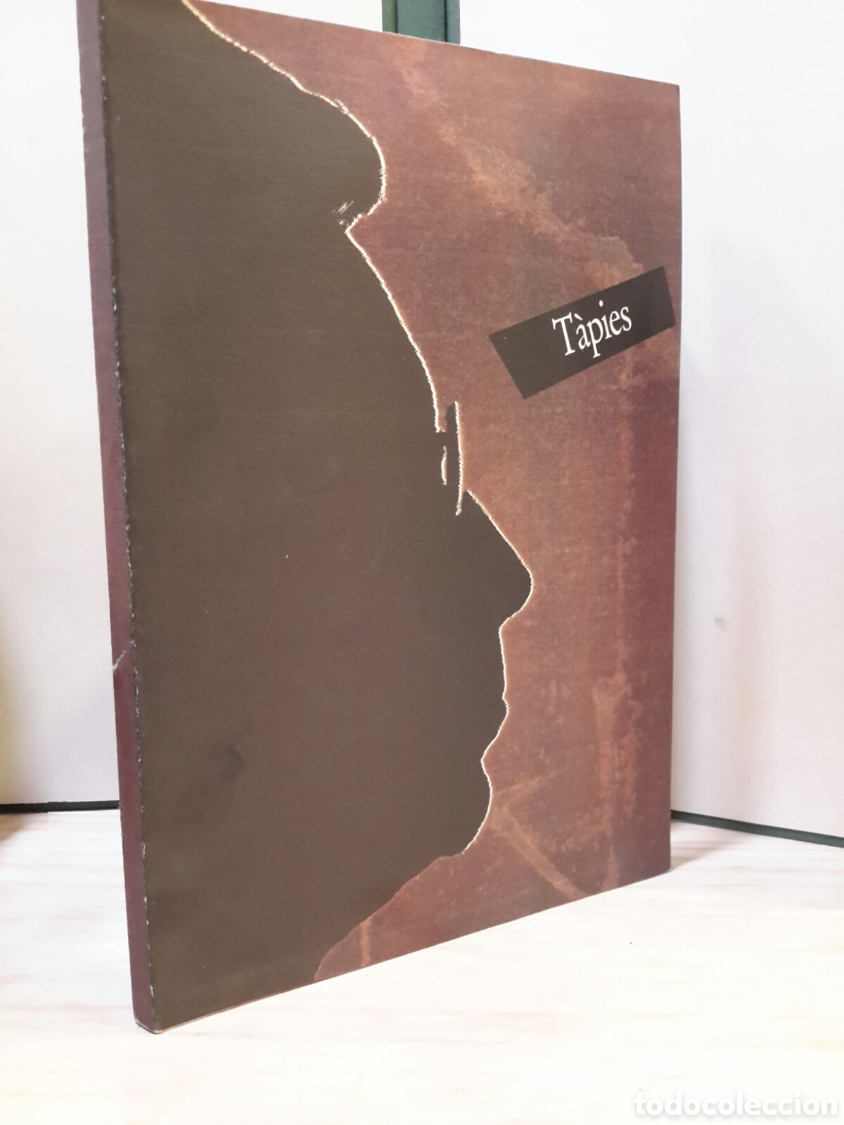 Gebrauchte B&uuml;cher: Tapies Anna Agusti (Coord.)