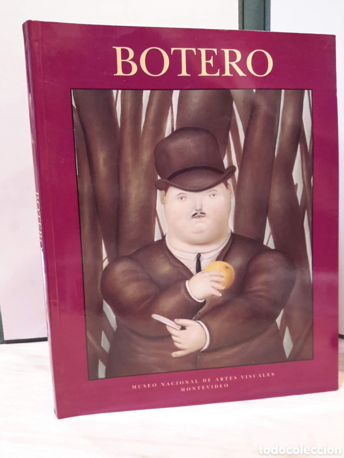 Gebrauchte B&uuml;cher: Fernando Botero 1998