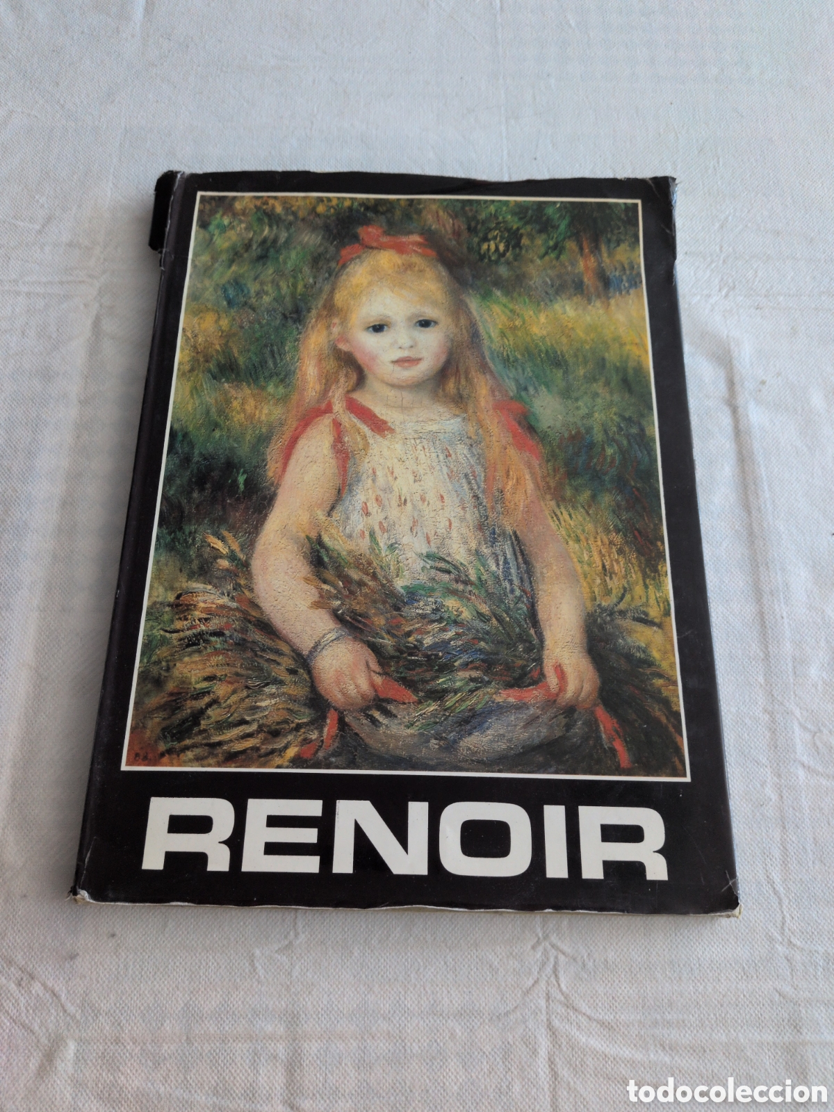 Libros de segunda mano: AGUSTE RENOIR. 1981. LIBRO DE PINTURA