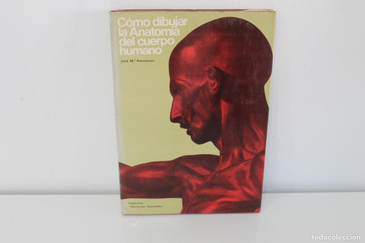 Libros de segunda mano: COMO DIBUJAR LA ANATOM&Iacute;A DEL CUERPO HUMANO JOS&Eacute; M&ordf; PARRAM&Oacute;N TERCERA EDICI&Oacute;N MARZO 1970