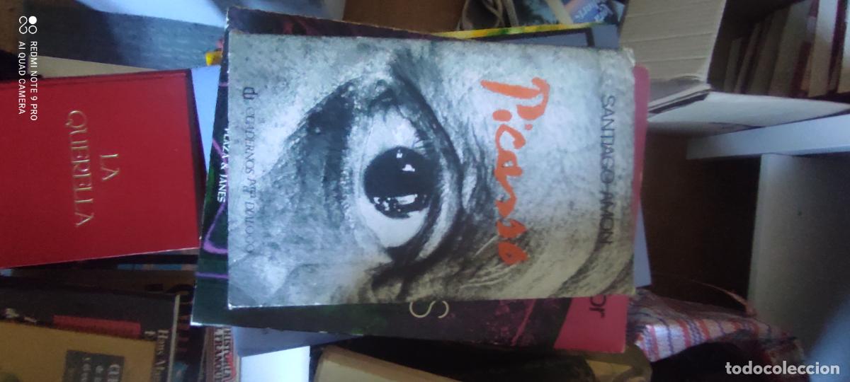Libros de segunda mano: Picasso . Santiago Am&oacute;n