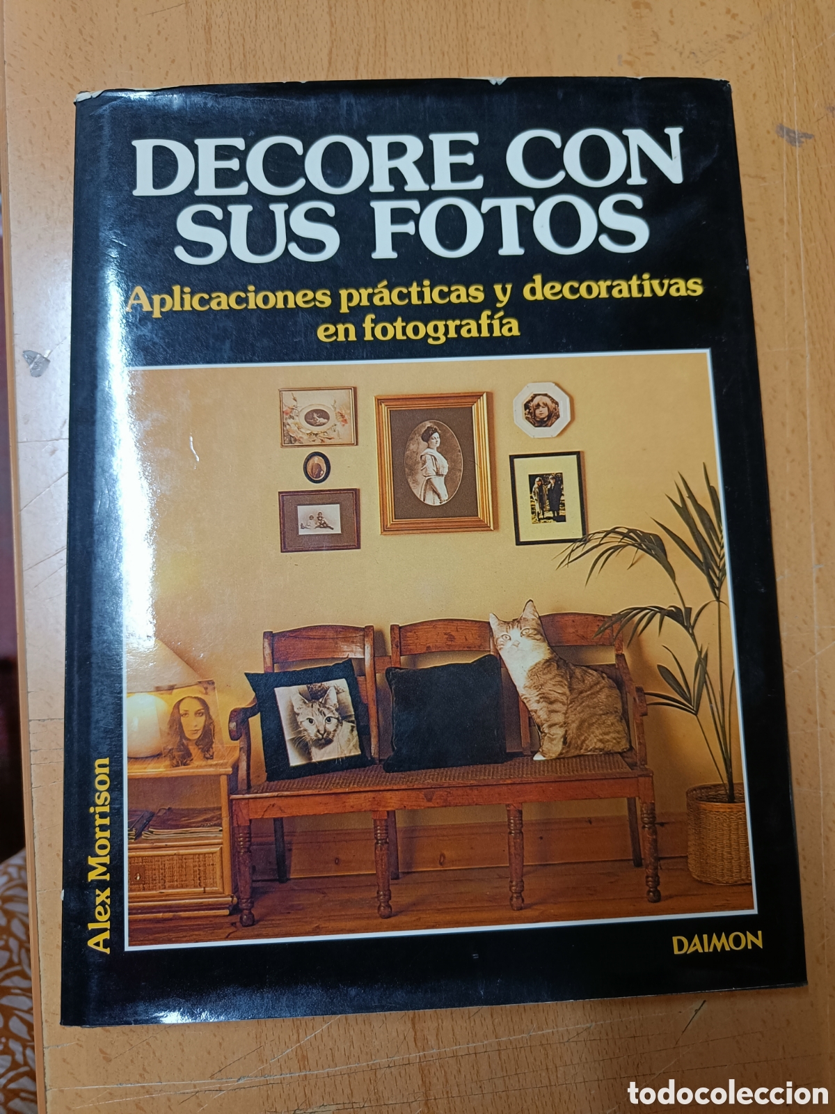 Libros de segunda mano: DECORE CON SUS FOTOS. ALEX MORRISON. APLICACIONES PR&Aacute;CTICAS Y DECORATIVAS EN FOTOGRAF&Iacute;A.