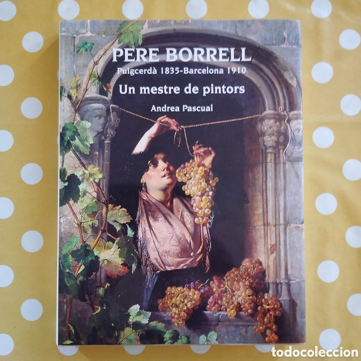 Libros de segunda mano: PERE BORRELL PUIGCERD&Agrave; 1835 - BARCELONA 1910 ANDREA PASCUAL UN MESTRE PINTORS EDITORIAL MEDITERR&Agrave;NIA