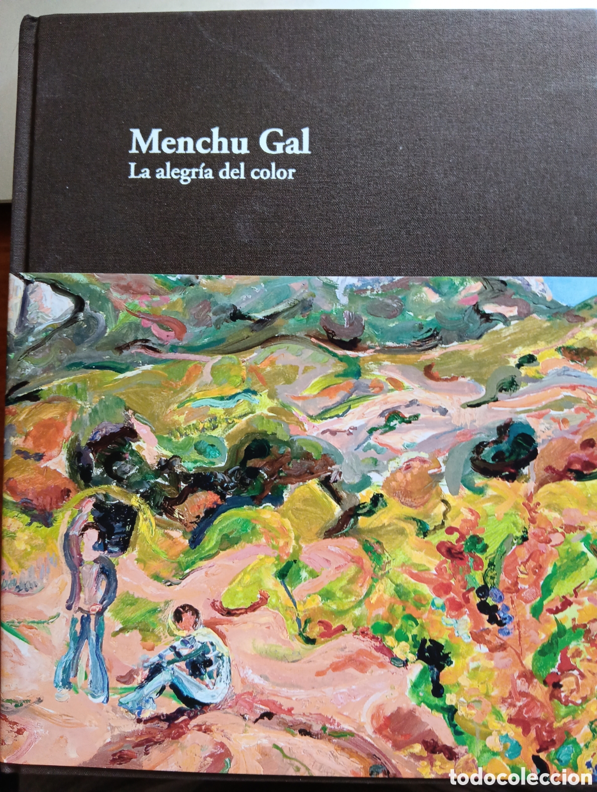 Libros de segunda mano: Menchu Gal, La alegria del color