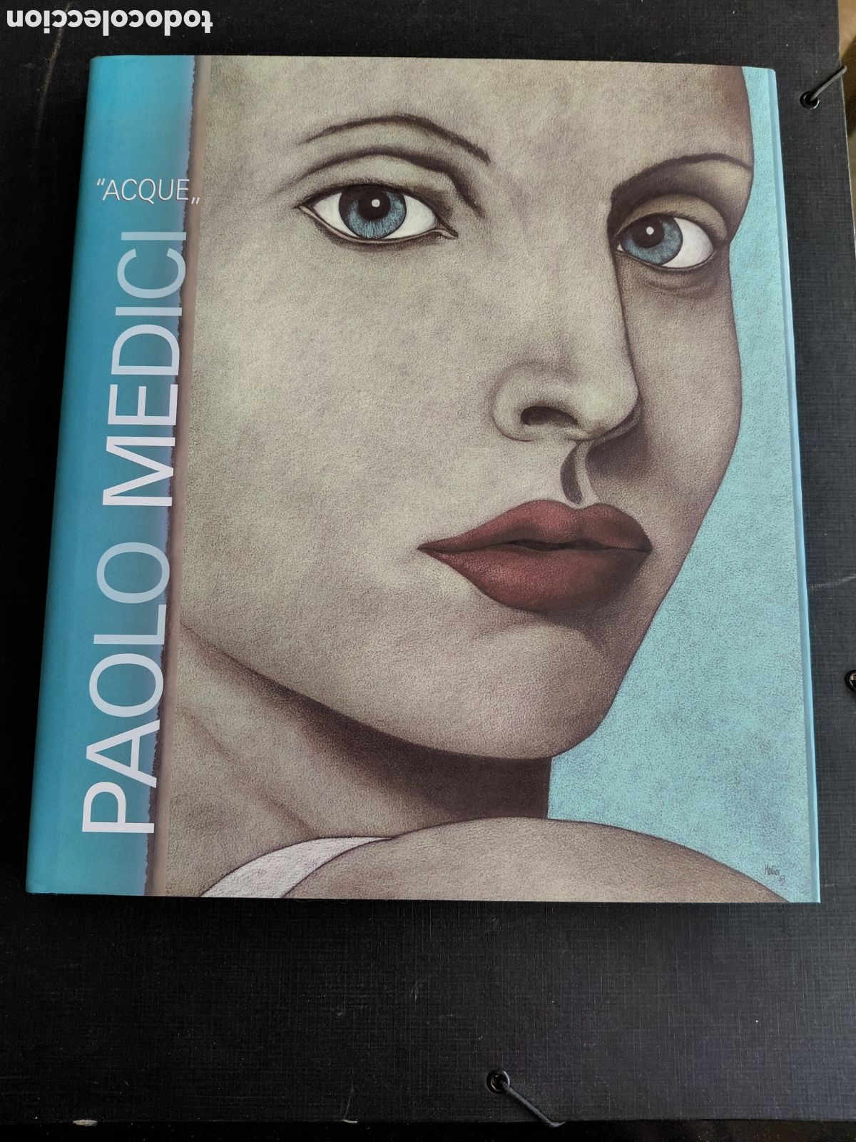 Libros de segunda mano: PAOLO MEDICI &rdquo;ACQUE&rdquo;. AGUAS INTRODUCIDAS POR POESIA Y EXTRACTOS ANTIGUOS-PINTURA-20O4