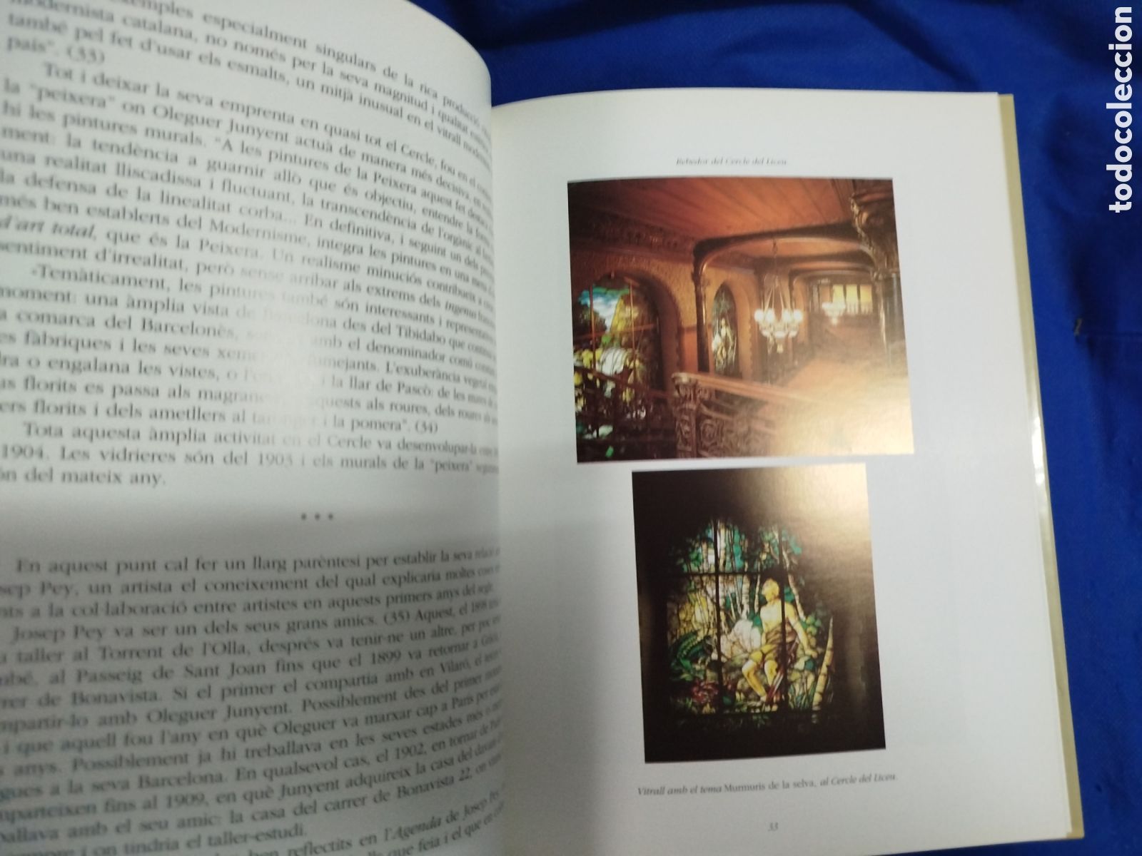 Libros de segunda mano: Francesc Miralles, Oleguer Junyent - Foto 3