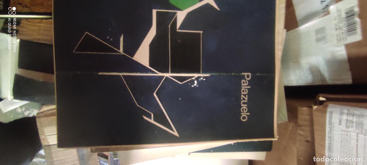 Libros de segunda mano: Palazuelo. Pinturas, Esculturas y Gouaches