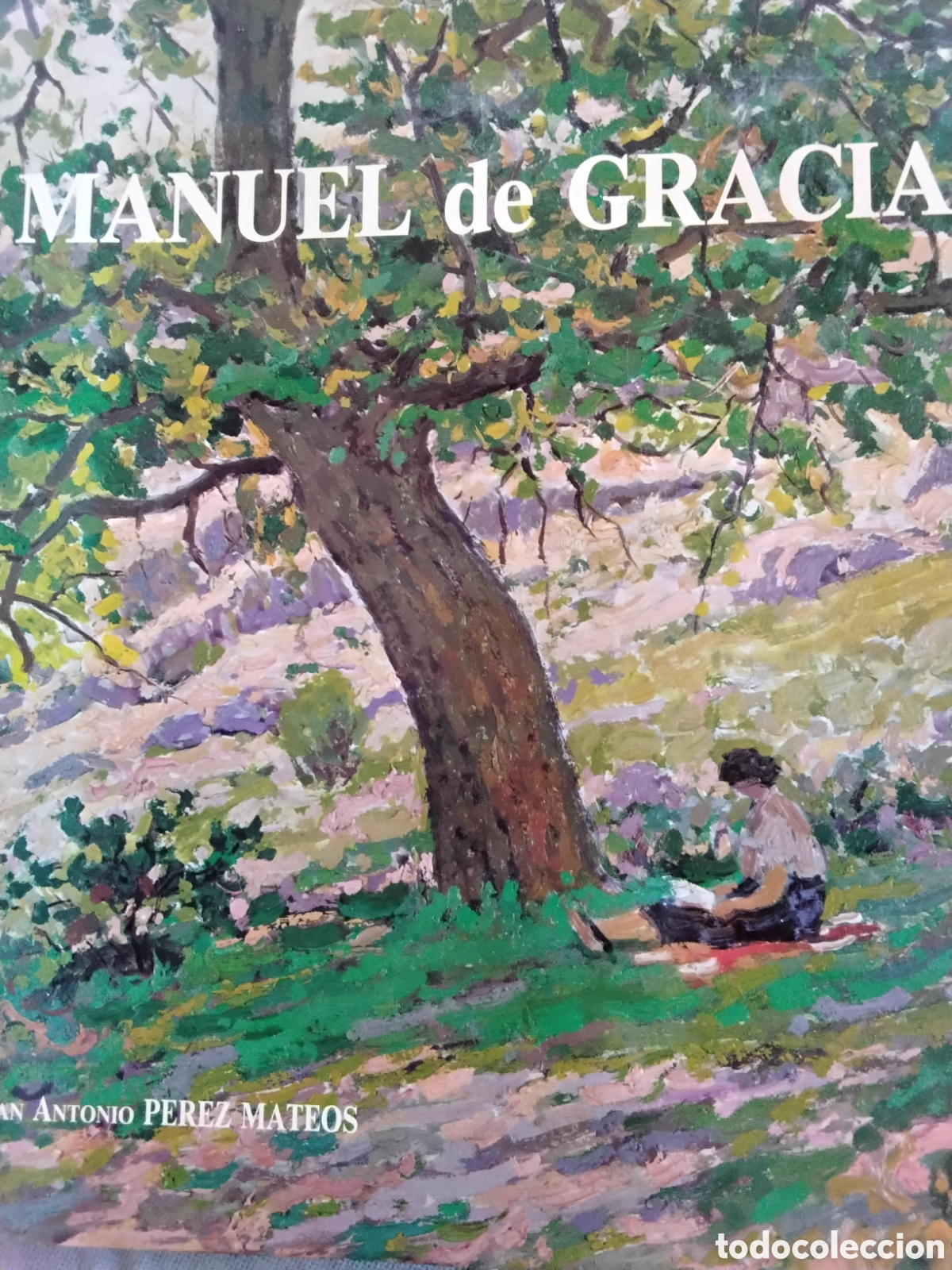 Libros de segunda mano: MANUEL DE GRACIA. JUAN ANTONIO P&Eacute;REZ MATEOS. DEDICADO POR EL AUTOR