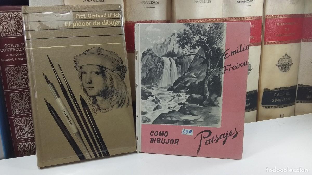 Libri di seconda mano: Lote 2 obras complementarias: 1) EL PLACER DE DIBUJAR / 2) C&Oacute;MO DIBUJAR PAISAJES,