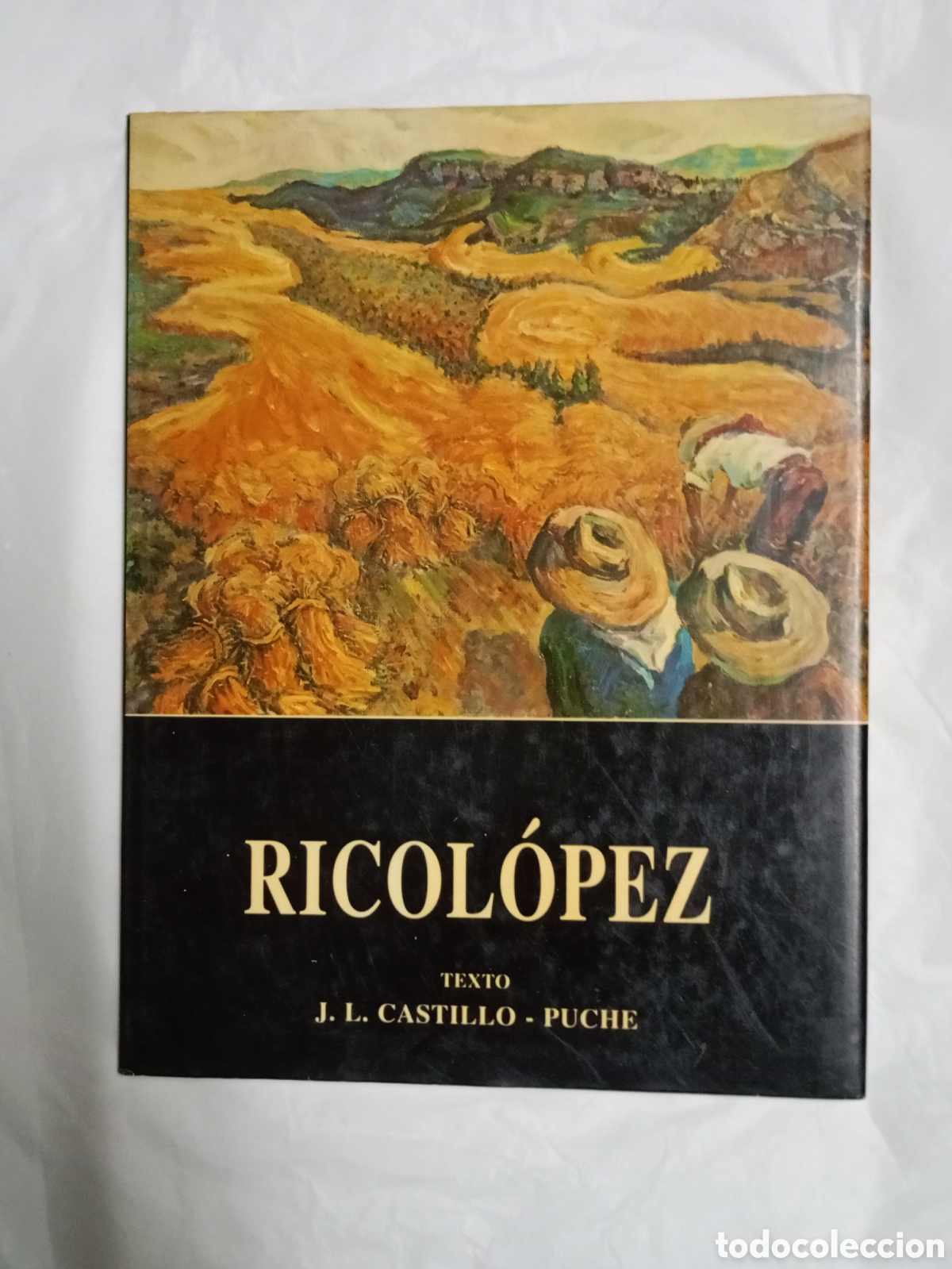 Gebrauchte B&uuml;cher: Ricol&oacute;pez texto J. L Castillo-Puche libro tapa dura