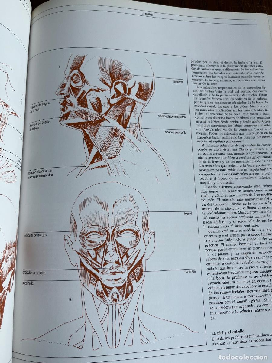 Libros de segunda mano: DIBUJAR Y PINTAR EL RETRATO / JOHN DEVANE - Foto 9