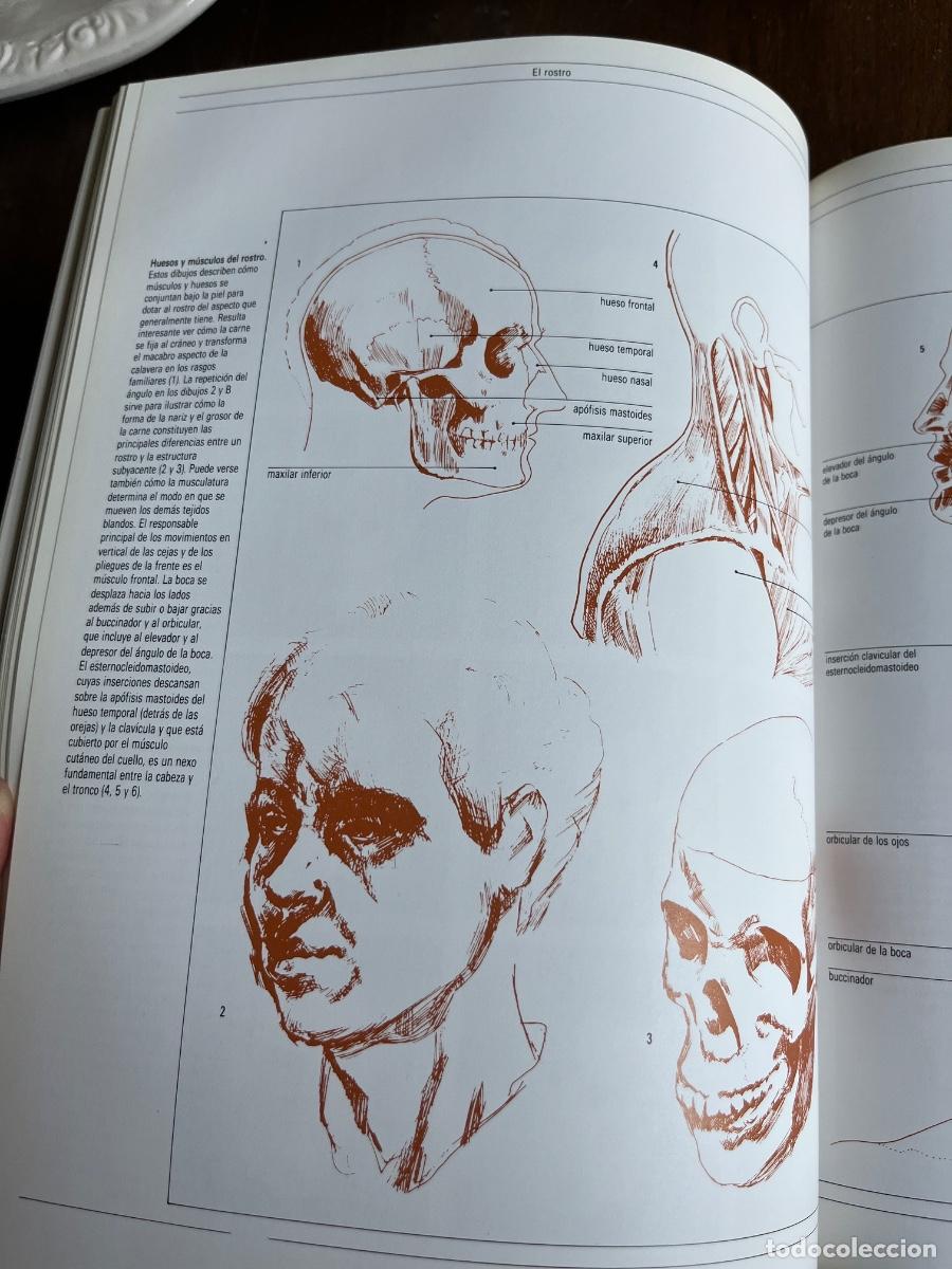 Libros de segunda mano: DIBUJAR Y PINTAR EL RETRATO / JOHN DEVANE - Foto 10