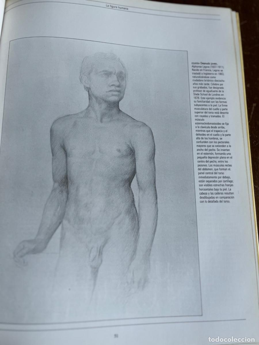 Libros de segunda mano: DIBUJAR Y PINTAR EL RETRATO / JOHN DEVANE - Foto 11