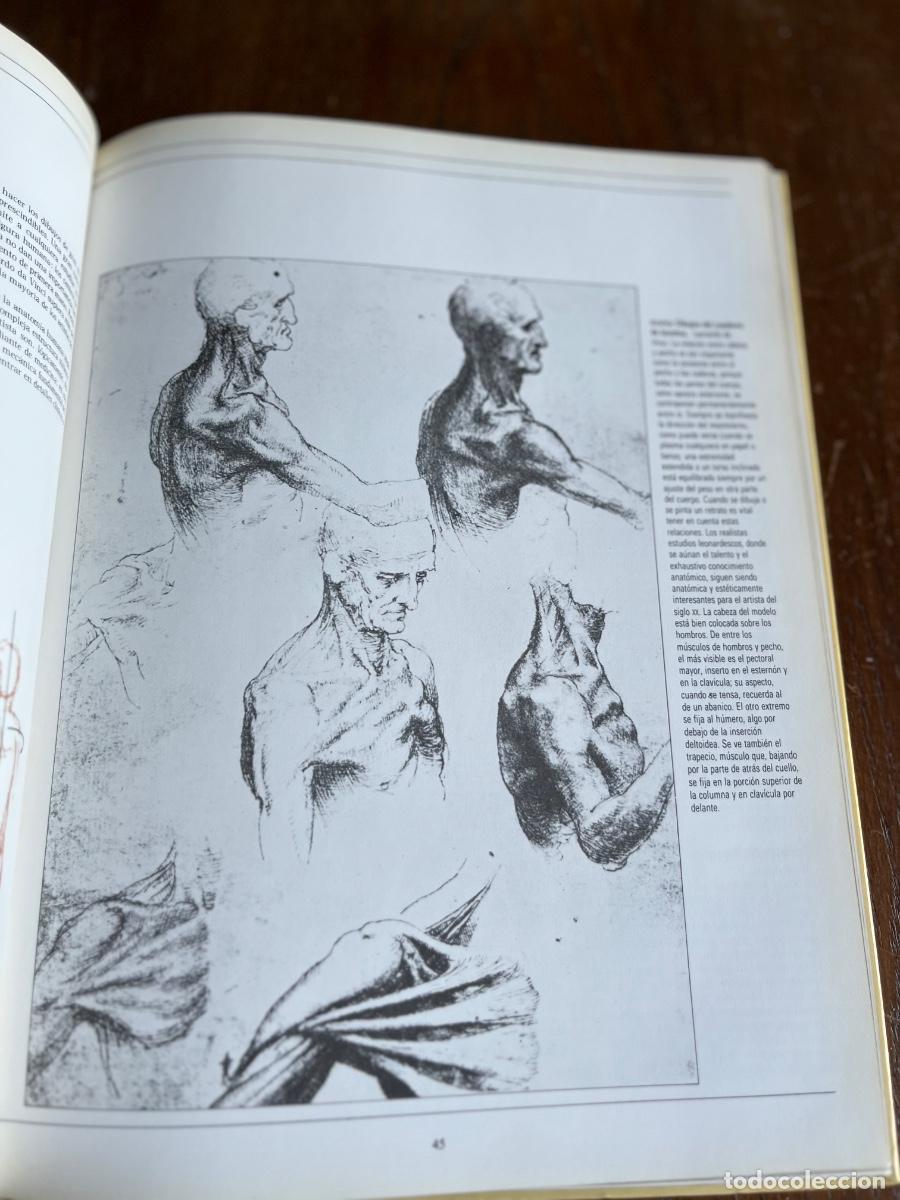Libros de segunda mano: DIBUJAR Y PINTAR EL RETRATO / JOHN DEVANE - Foto 13