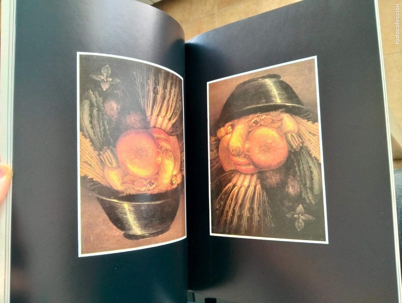 Second hand books: Arte. Arcimboldo, Giuseppe, ed. Taschen, 1991. VISITA MI CATALOGO. L55